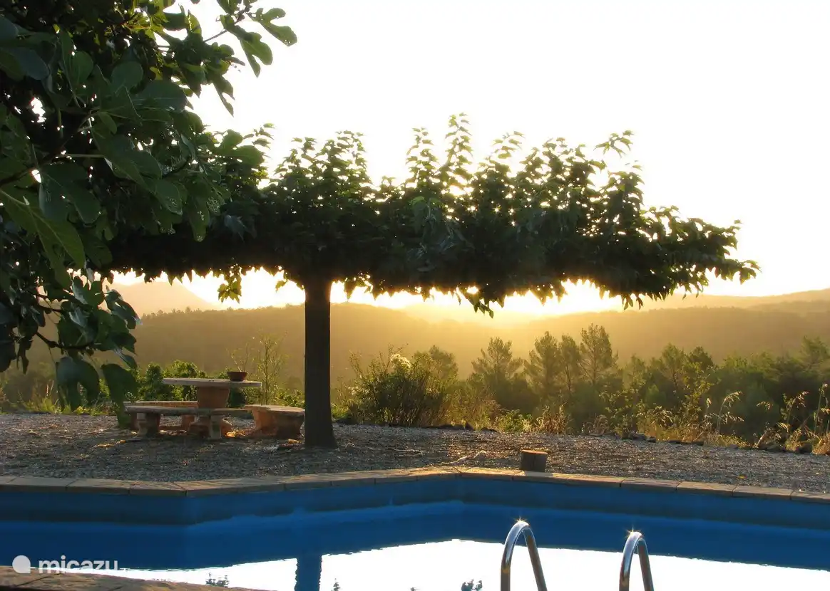 Sonnenaufgang am Pool.