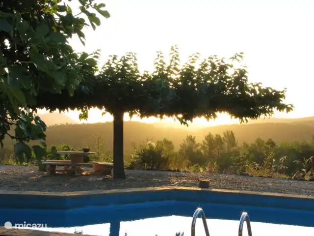 Location de Vacances France, Gard, Molières-sur-Cèze, maison de vacances - Maison 4 saisons pour 6 personnes Lever de soleil à la piscine.
