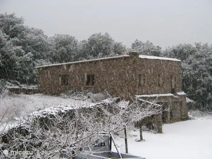 Hin und wieder verwandelt sich das 4-Jahreszeiten-Haus im Winter (wenn wir geschlossen haben) in ein Wintermärchen.