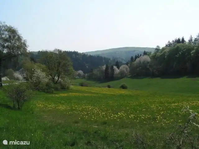 frankenau hasewinkel en Alemania, Sauerland, Frankenau - casa vacacional ambiente