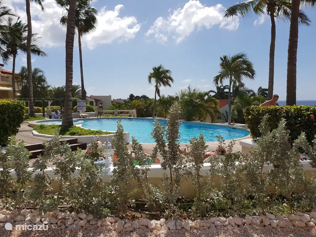 Das Schwimmbad im Resort. Es wurde kürzlich komplett renoviert.
