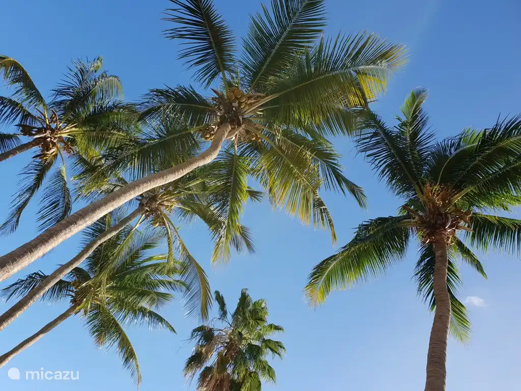 Diese Aussicht haben Sie am Pool des Resorts liegen