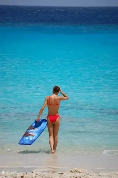 Das karibische Meer mit all seinen Schattierungen von Blau: 200 Meter von der Anlage!