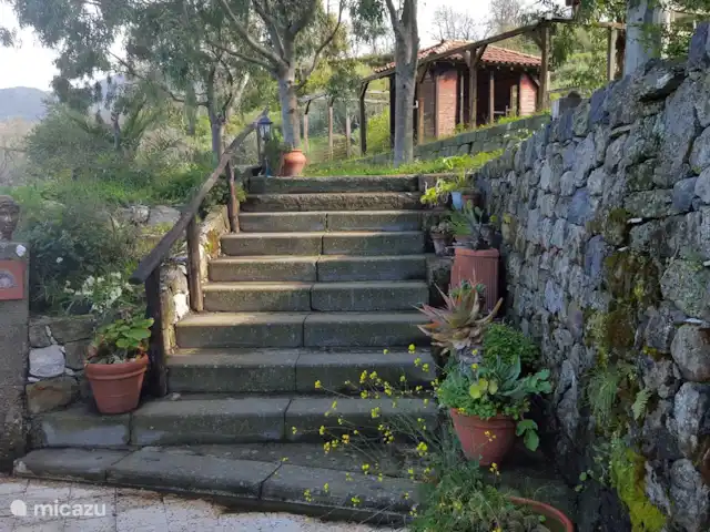 Casa Motta Camastra en Italia, Sicilia, Motta Camastra - casa vacacional Escaleras al jardín superior y a la piscina