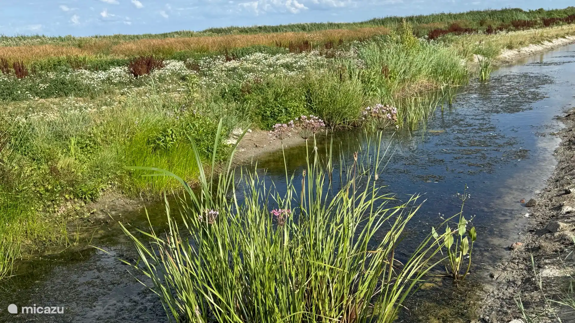 natuurgebied de Oosterkoog, grenzend aan het IJsselmeer