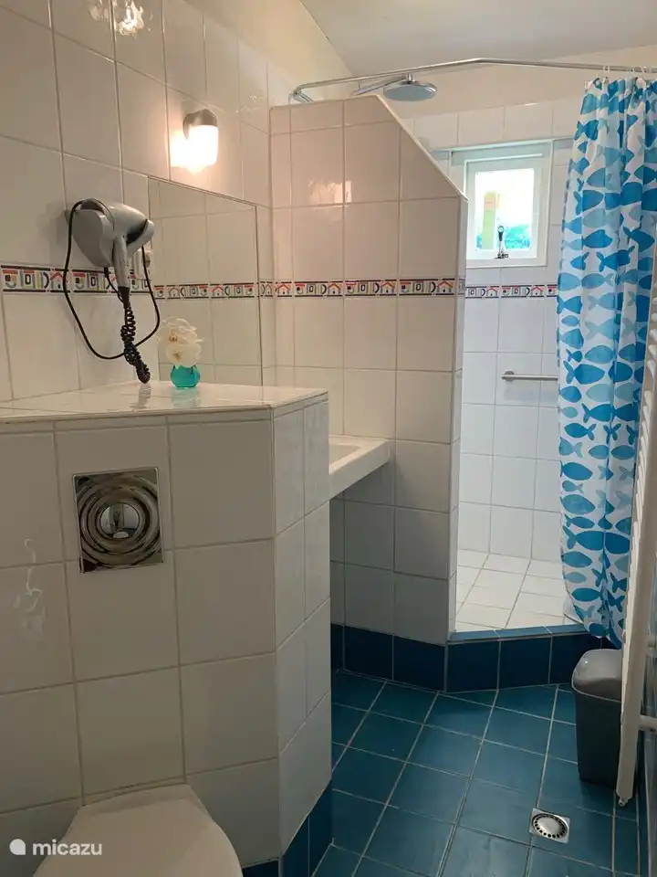 Ducha de baño con manijas de seguridad en la pared