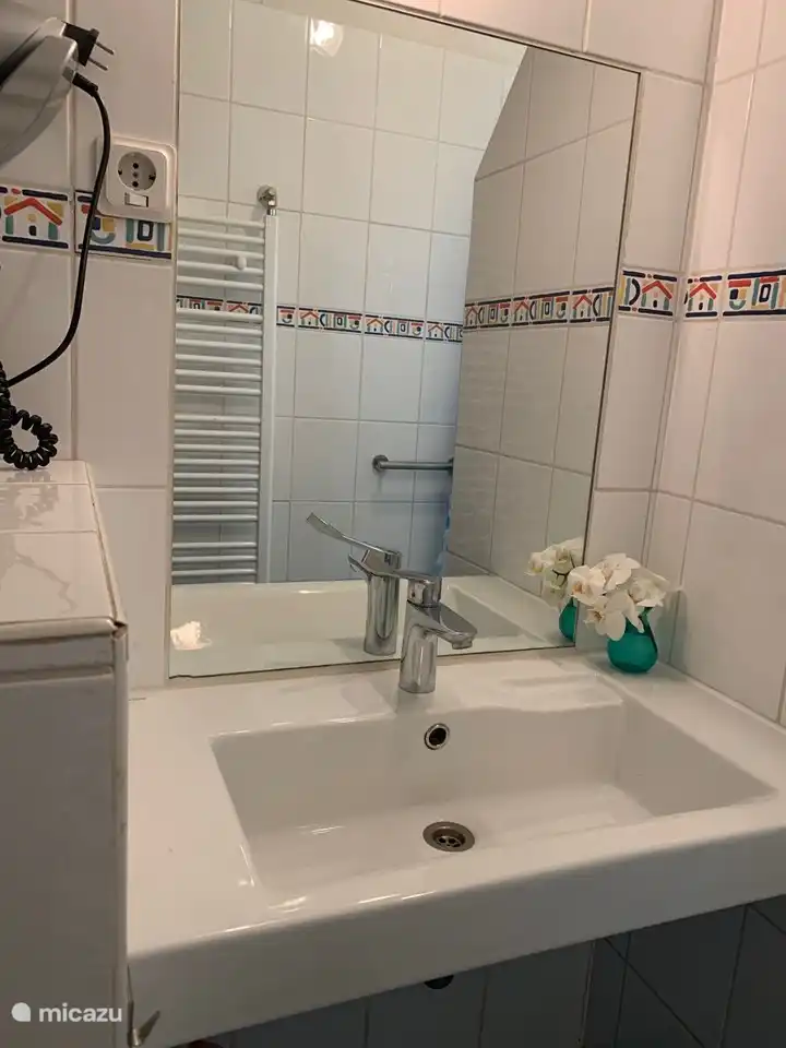 Baño con inodoro, lavabo y plato de ducha con lluvia y pomo de ducha normal