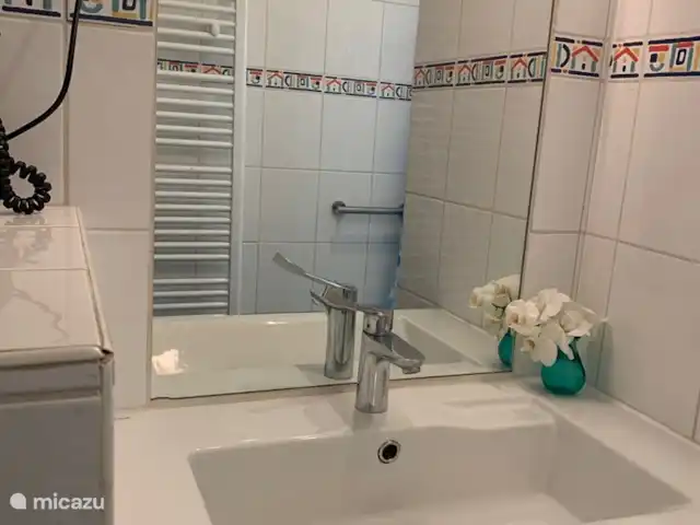 bungalow huren in Nederland, Noord-Holland, Schardam – Koggenbungalow Badkamer met toilet, wastafel en inloopdouche met regen-en gewone doucheknop