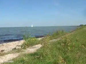 nadando en la playa de conchas en el IJsselmeer