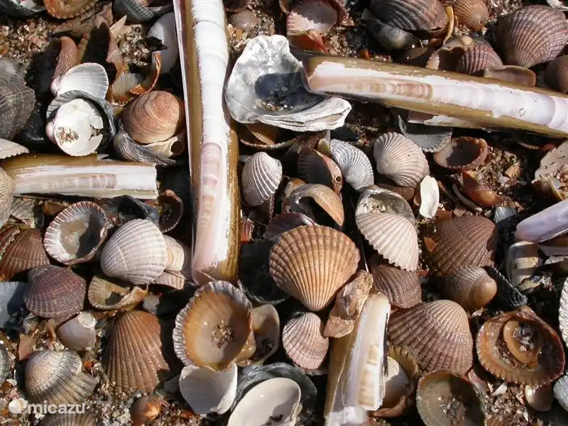 Der weiche Sandstrand der Küste, ist manchmal ein bisschen schwierig mit nackten Füßen