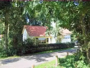 Auch köstliche Schatten in voller Sonne