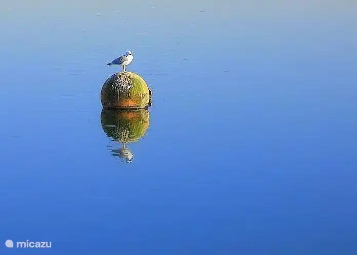 Abgesehen von Blasen zu viel Ruhe