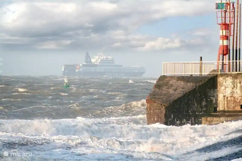 Fußgänger-und Fahrradverkehr Pfund bei Vlissingen nach Breskens