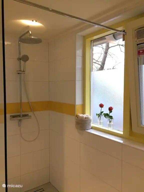 Neue und geräumige begehbare Dusche