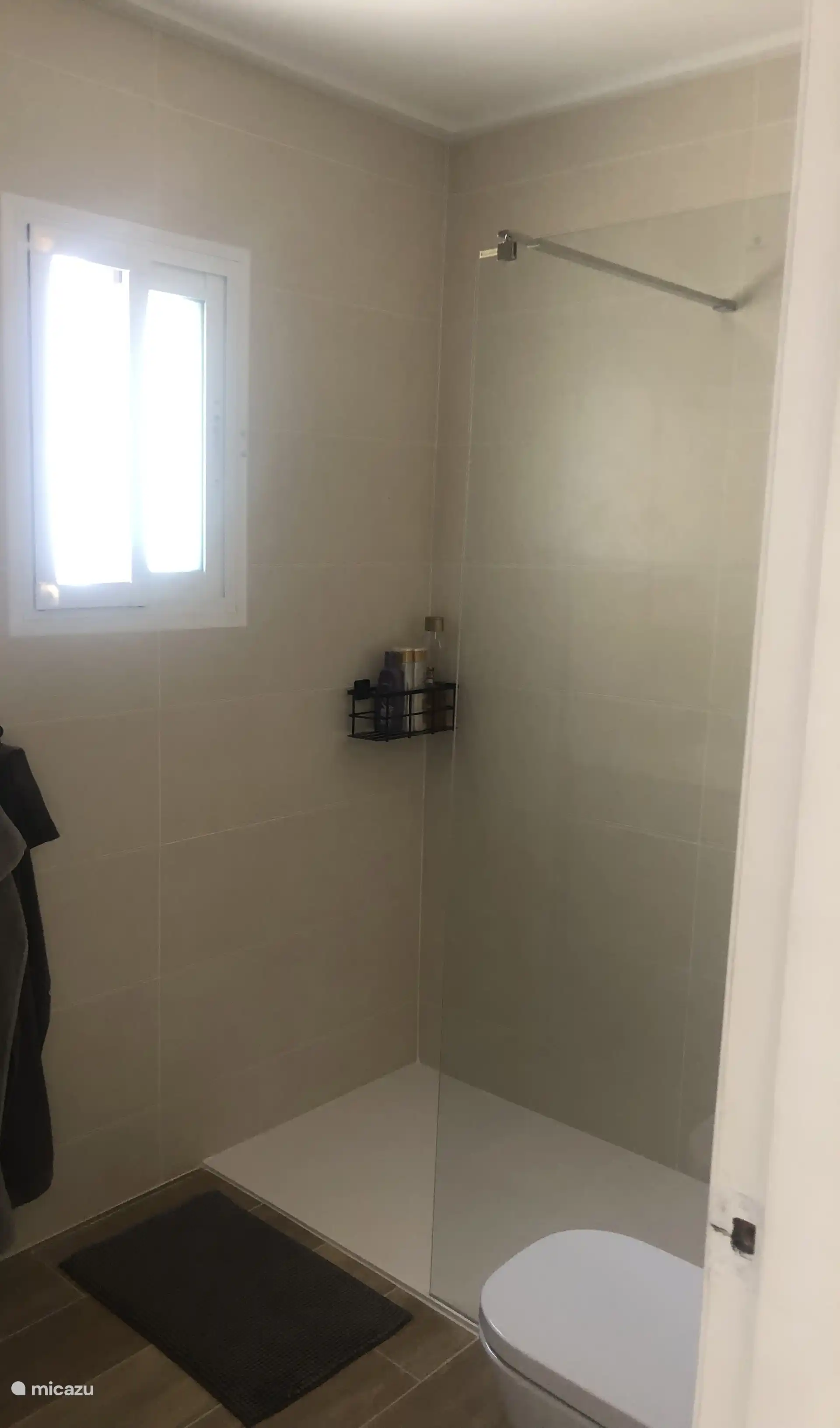 Badkamer met inloopdouche en toilet