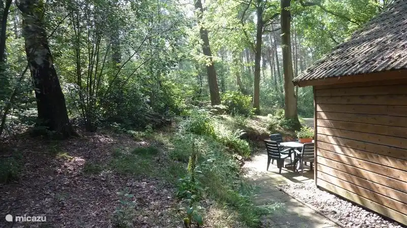 Terras grenzend aan de rustgevende bostuin