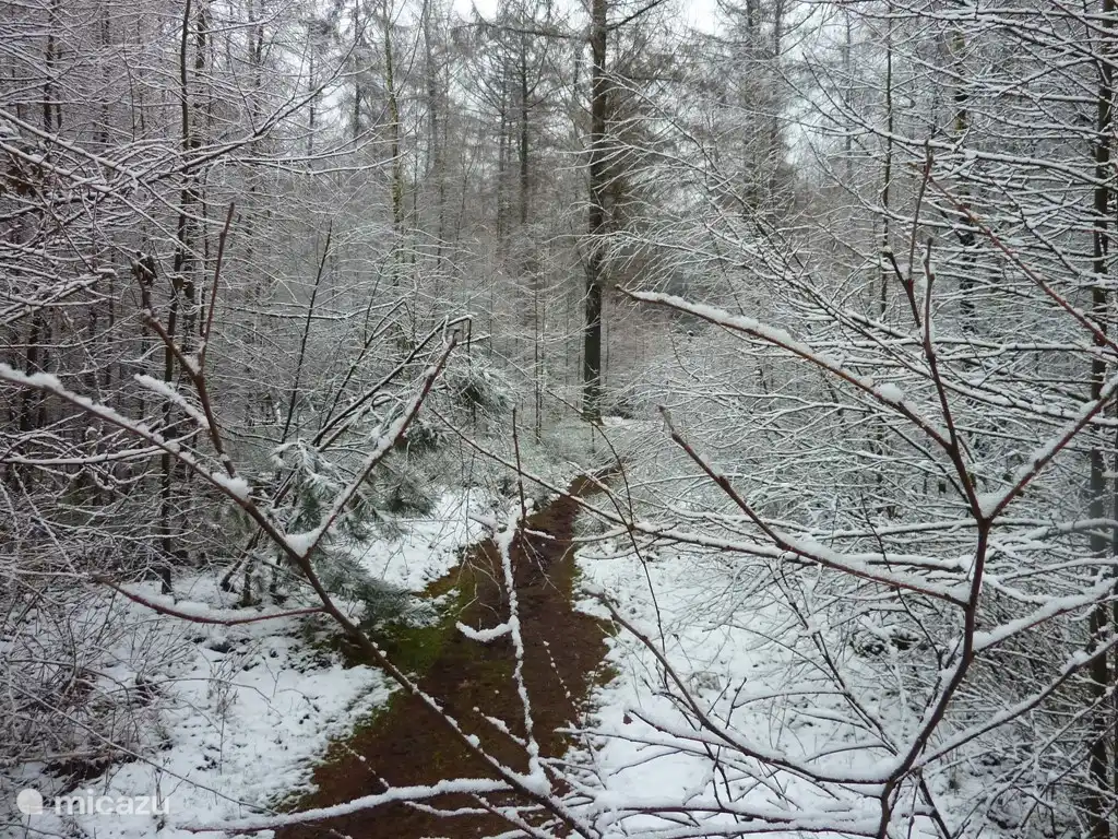 Winterse schoonheid  - hier word je stil van
