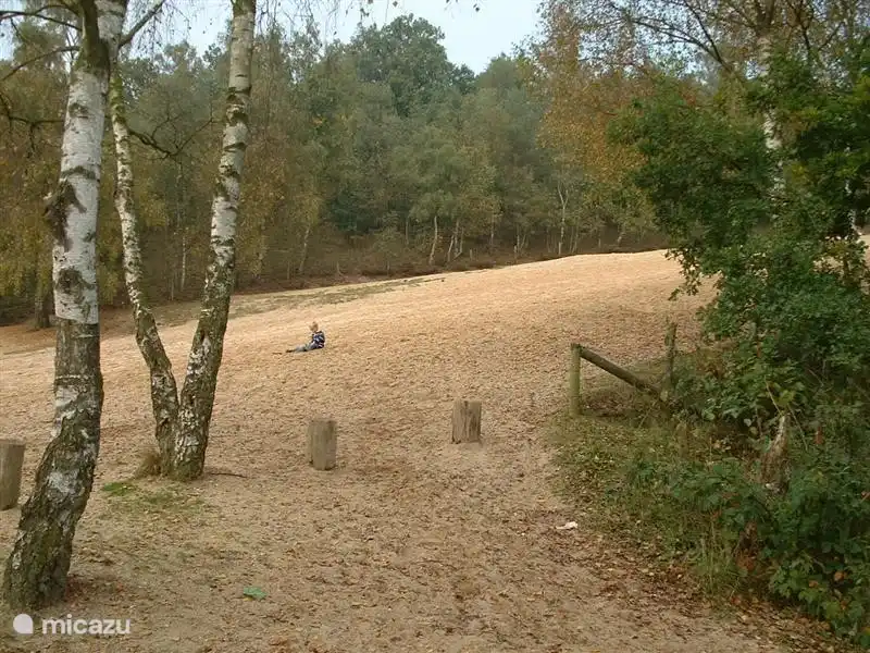 Doornse gat op 10 minuten loopafstand met hoge zandheuvel om heerlijk vanaf te rennen.