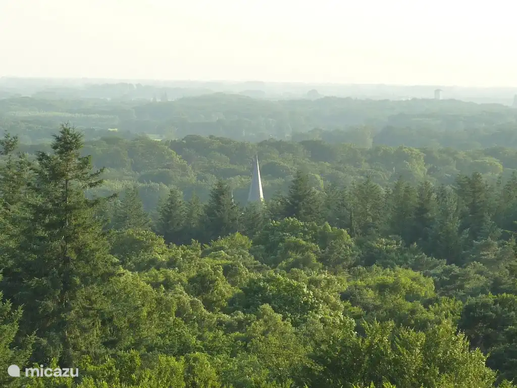 Je waant je in het buitenland met dit uitzicht vanaf de uitkijktoren in de Kaapse Bossen