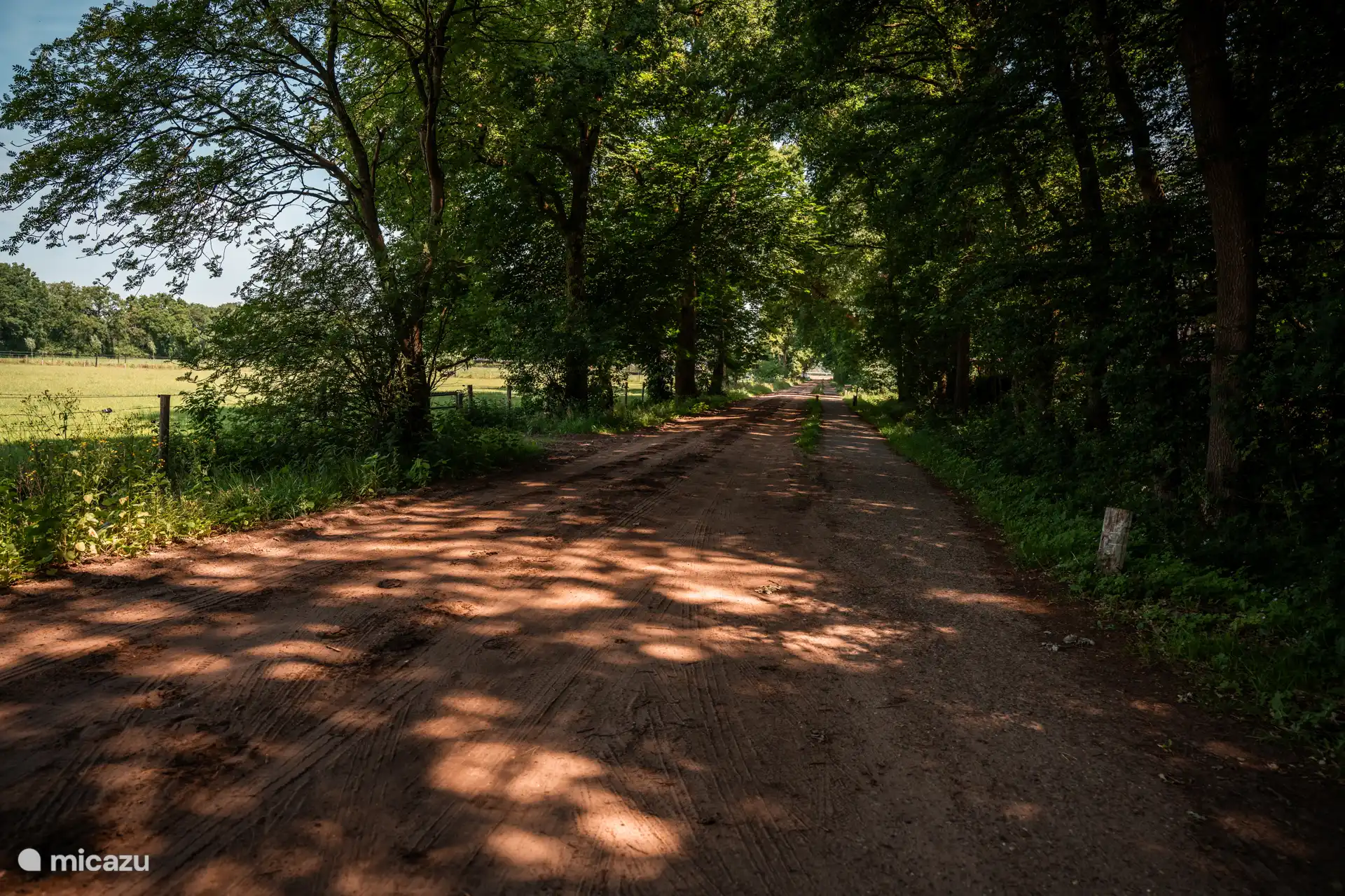 Idyllisch gelegen. zwischen den Wiesen und am Waldrand