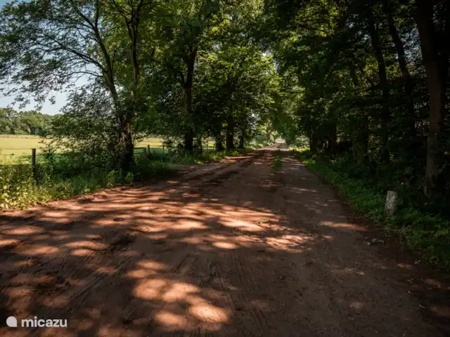 De Groene Zoom en Países Bajos, Güeldres, Otterlo - casa de campo Ubicación idílica. entre los prados y al borde del bosque