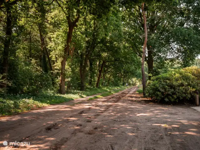 De Groene Zoom en Países Bajos, Güeldres, Otterlo - casa de campo