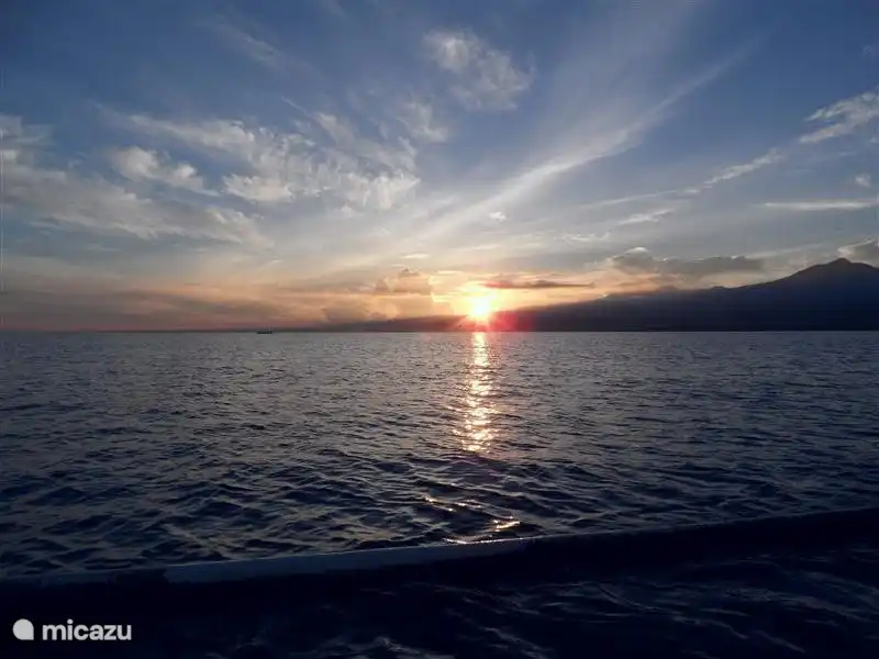 Dolphin Sichtungen bei Sonnenaufgang.