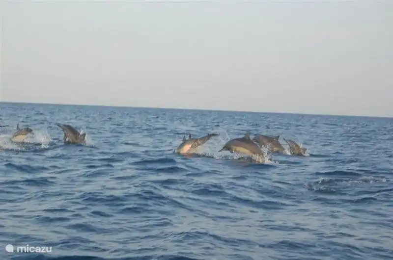 Wir wünschen Ihnen einen angenehmen Aufenthalt