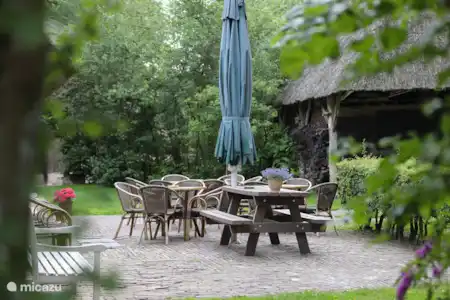 Vakantiehuis Nederland, Drenthe, Orvelte boerderij Borckerhof 2 Het terras