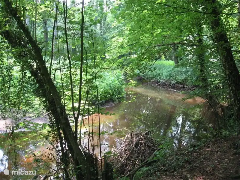 Die bekannte Elle z, n schönen Flora und Fauna