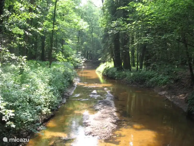 Die Wicklung Bach [Umwelt Winterswijk]
