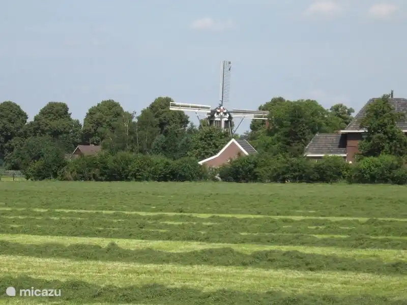 Die meenkmolen [Corle] Winterswijk