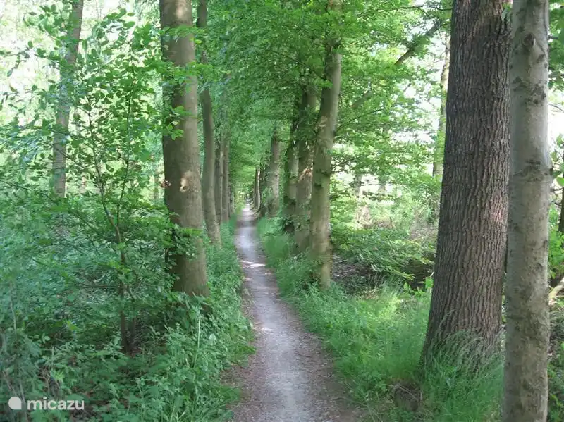 Radweg Burlo Deutschland