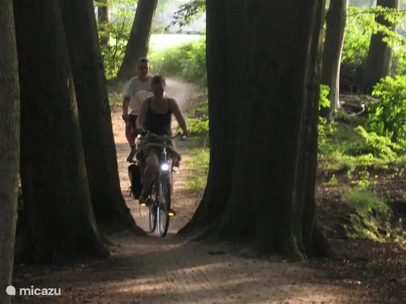 Haart Weiler zwischen Aalten-Winterswijk