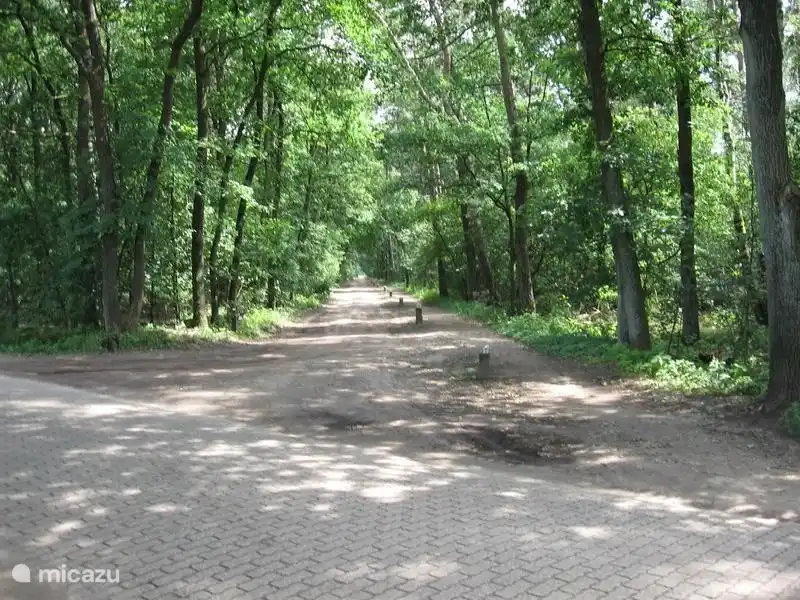 T.o.v, der Park, feinem Sand und befestigten Straßen