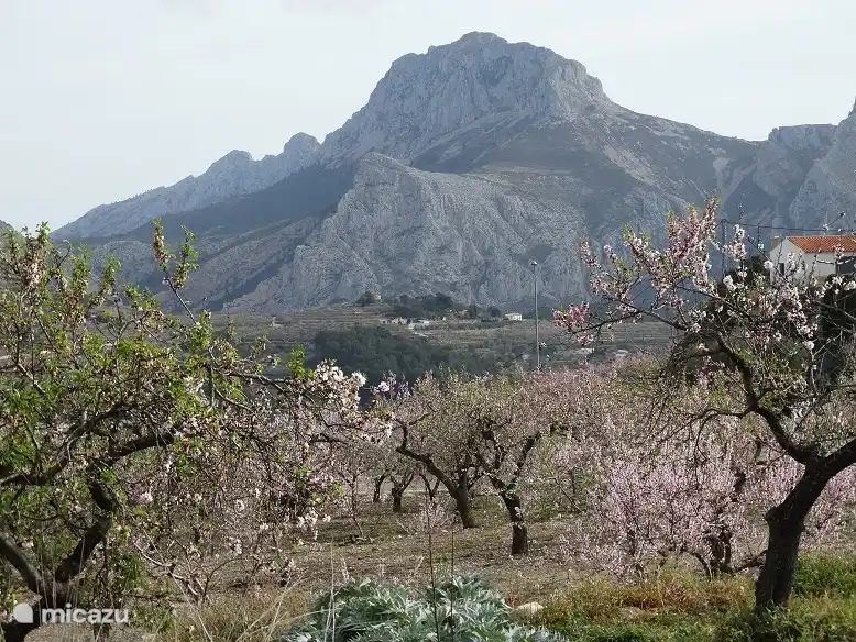 Februar im Landesinneren