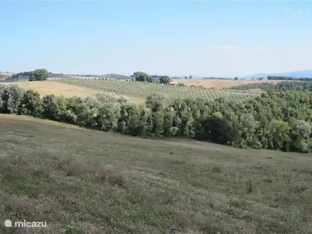 Location de Vacances Italie, Toscane, Volterra, maison de vacances - Podere Grignano Perspective