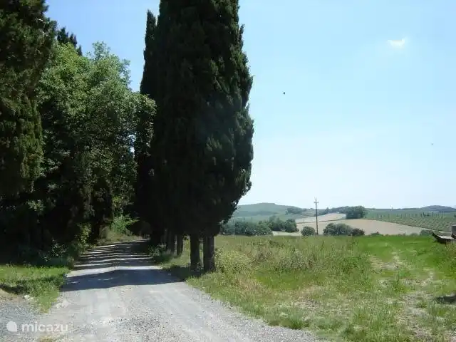 Avenue Cyprès devant les appartements. Seules quelques voitures passent chaque jour.