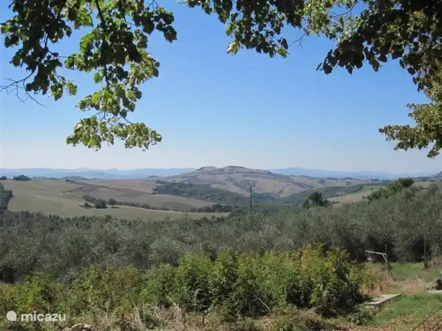 Location de Vacances Italie, Toscane, Volterra, maison de vacances - Podere Grignano Vue depuis la route de campagne en face des maisons de vacances. Environ 100 mètres