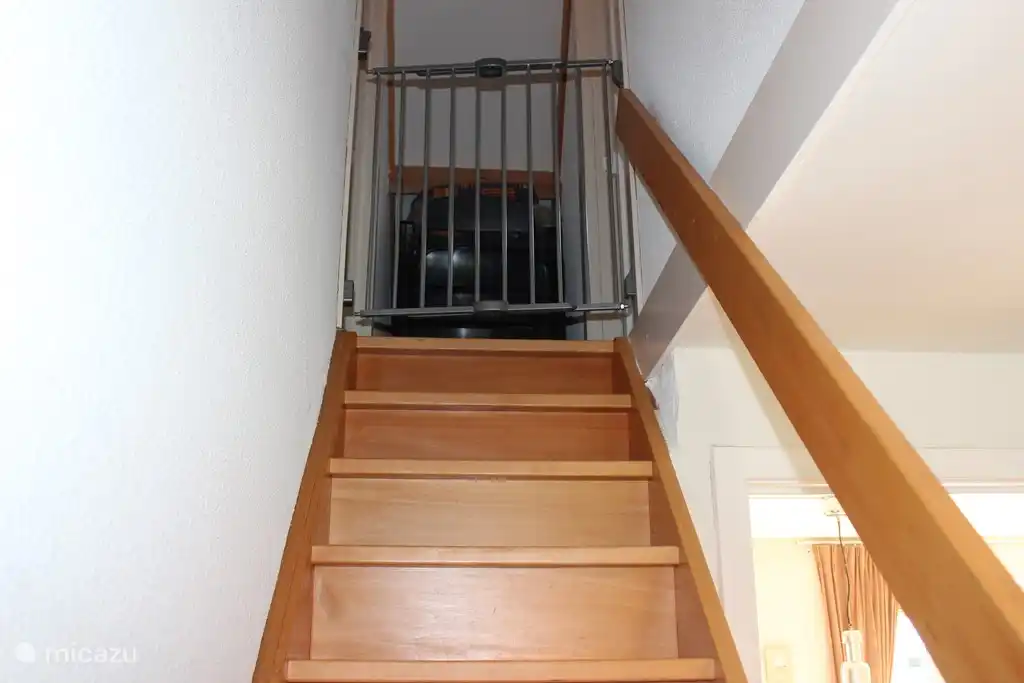 La seguridad ante todo para nuestros pequeños huéspedes