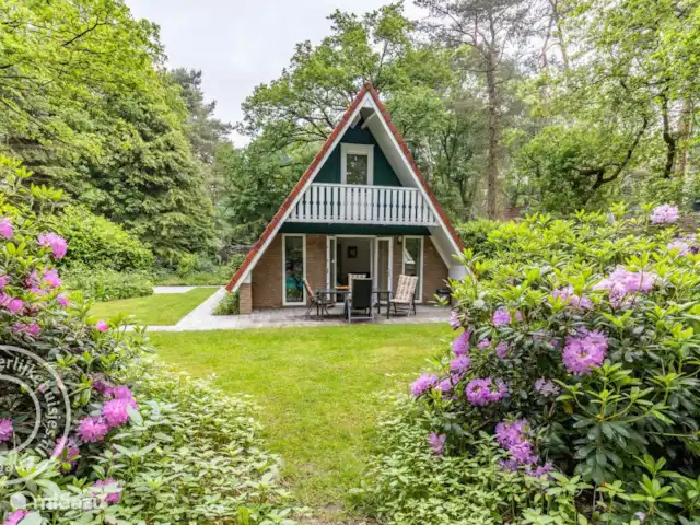 Motif bungalow | Pays-Bas, Gueldre, Harfsen - maison de vacances Motif bungalow | Pays-Bas, Gueldre, Harfsen - maison de vacances