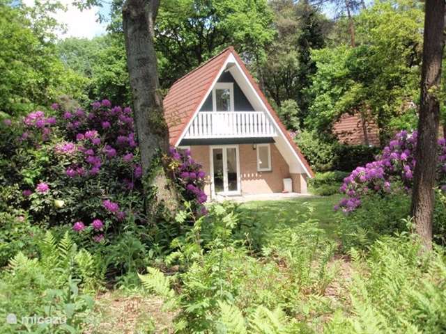 Maison de Vacances Pays-Bas, Gueldre, Almen - maison de vacances Motif bungalow