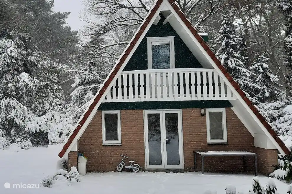 Rückansicht mit kleinem Fahrrad im Schnee.