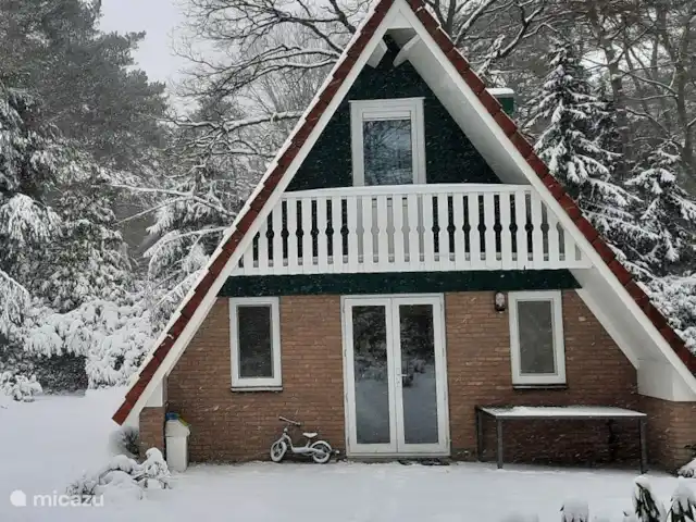 Motif bungalow | Pays-Bas, Gueldre, Harfsen - maison de vacances vue arrière avec petit vélo dans la neige.