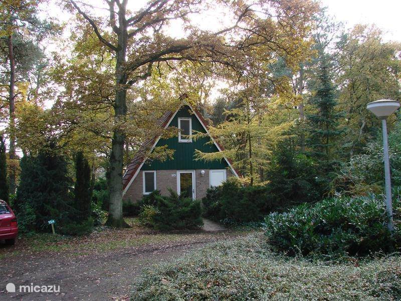 Maison de Vacances Pays-Bas, Gueldre, Harfsen Maison de vacances Motif bungalow
