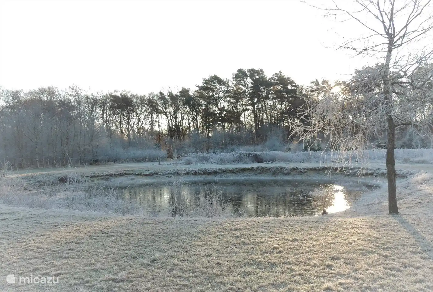 der Teich mit Bänken im neu angelegten Waldgebiet hinter dem Haus