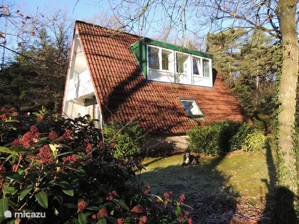 Seitenansicht des Hauses mit Blick auf die Dachgaube.