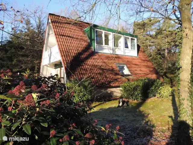 Motif bungalow | Pays-Bas, Gueldre, Harfsen - maison de vacances Vue latérale de la maison avec vue sur la lucarne.