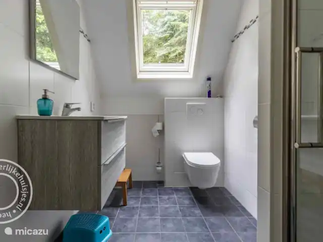 Motif bungalow | Pays-Bas, Gueldre, Harfsen - maison de vacances La salle de bain