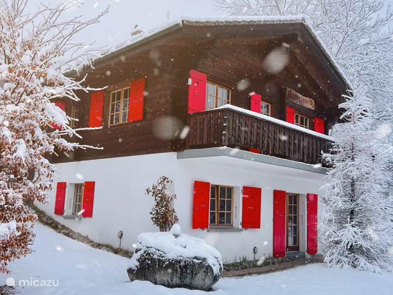 Maison de Vacances Suisse, Valais, Blatten bei Naters Chalet Chalet Schutzhutte
